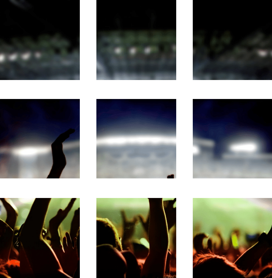 Grid image of fans in a stadium cheering